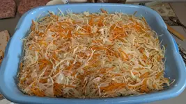 Капусточка пилюска.webp