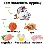 Надоела курица, а белок где-то нужно брать.webp